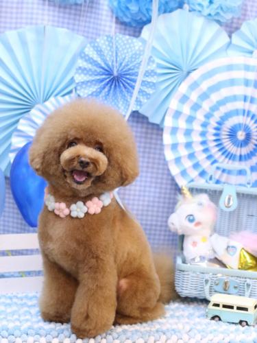 20231118こじろうくん